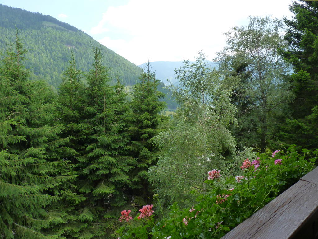 Appartements Laerchenhof Bad Kleinkirchheim Pokój zdjęcie